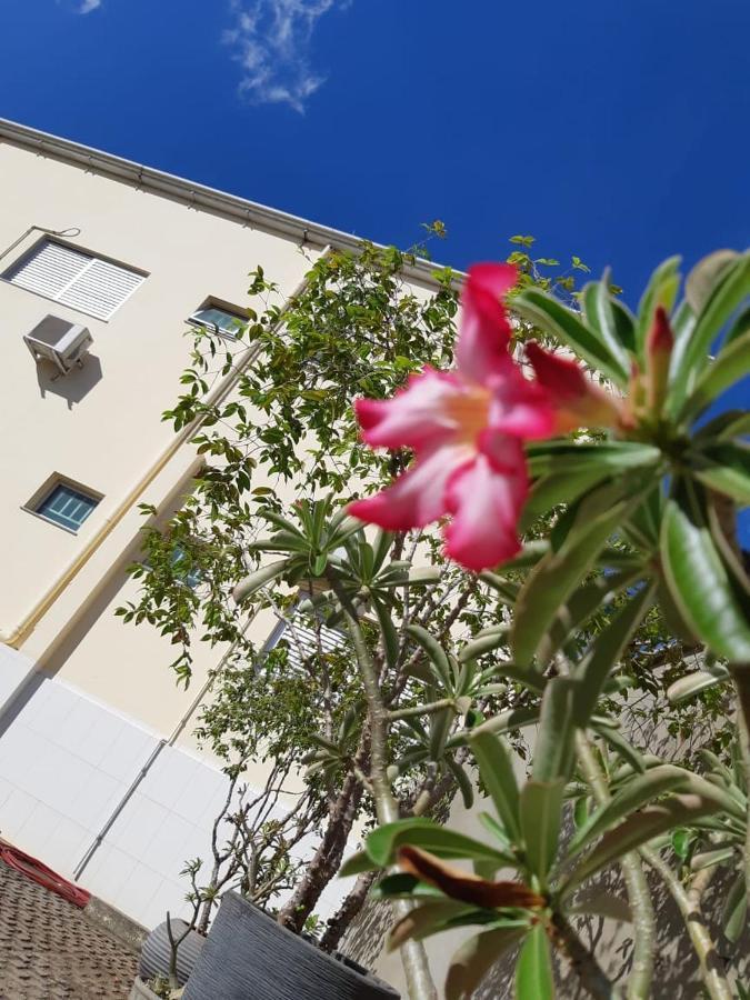 Hotel Executivo Araguaína Eksteriør bilde